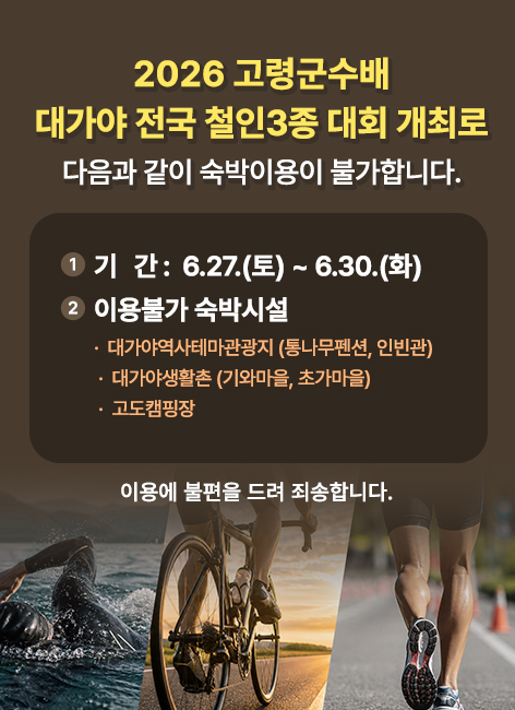 대가야 전국 철인3종 대회 개최